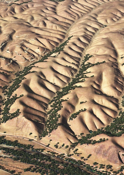 Perspective view of Gabilan Mesa, California, showing evenly spaced ridges and valleys. The scene, which is approximately 2 km wide, combines aerial photographs from the National Agriculture Imagery Program with laser altimetry from the National Center for Airborne Laser Mapping (NCALM).