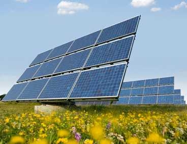 Solar panels in a field with yellow flowers