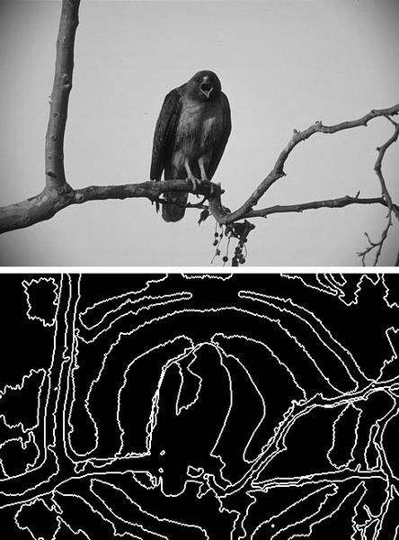 Courtesy of Jason Chang