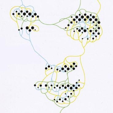 The cover of <i>Connectome</i>