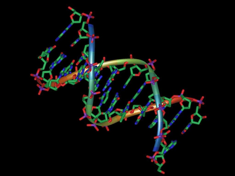MIT and Boston University researchers have shown that antibiotics launch a cascade of events that produces fatal DNA damage.