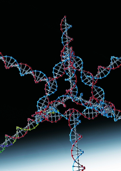 Researchers successfully used this nanoparticle, made from several strands of DNA and RNA, to turn off a gene in tumor cells.