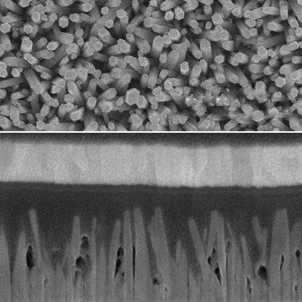 Scanning Electron Microscope images show an array of zinc-oxide nanowires (top) and a cross-section of a photovoltaic cell made from the nano wires, interspersed with quantum dots made of lead sulfide (dark areas). A layer of gold at the top (light band) and a layer of indium-tin-oxide at the bottom (lighter area) form the two electrodes of the solar cell.