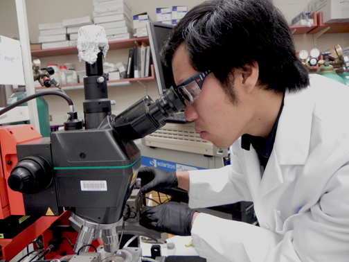 MIT materials science graduate student Wesley T. Hong in the lab.