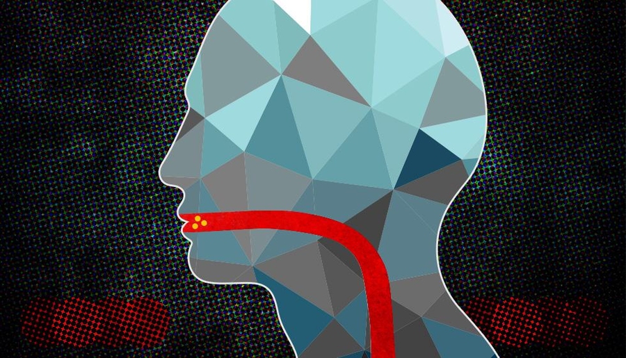 Illustration of a human head and neck with the esophagus highlighted
