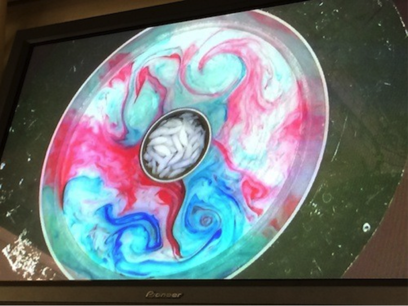 Cyclones visible in the 'Weather in a Tank' demo