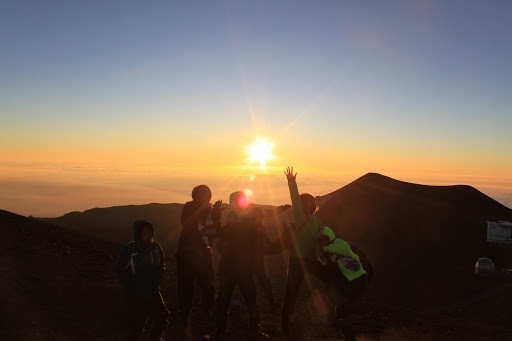 Conclusion of TREX 2013