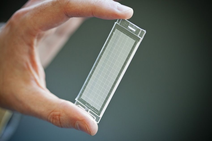 Love holds a microfluidic device, developed in Hidde Ploegh's lab, that resembles a tiny ice cube tray, with individual compartments for each cell. Love and Ploegh designed the device, which can be used to isolate many individual cells and simultaneously measure the antibodies and other proteins that each cell secreted.