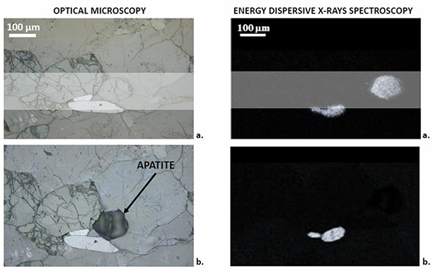 At left, images from an optical microscope show changes in apatite mineral in a feldspar section used in microfluidic leaching studies of potassium feldspar, before (top left) and after (bottom left) leaching caused by exposure to a strong acid solution. Lighter bar highlights channel followed by the microfluidic device. Energy dispersive X-ray spectroscopy images (right) show that another chemica...