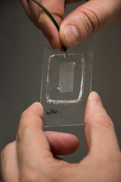 Close-up view of microfluidic device designed by MIT postdoc Davide Ciceri