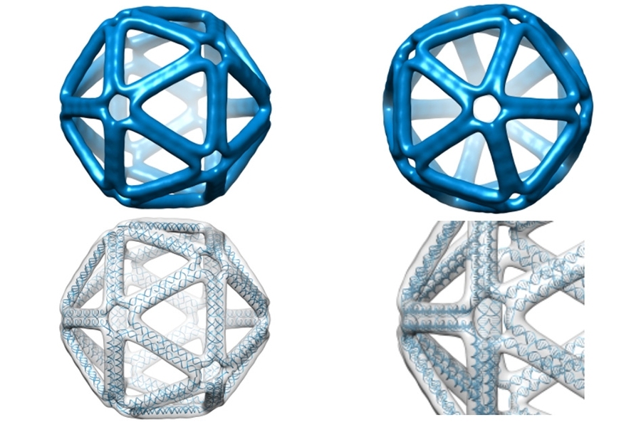 A new algorithm for DNA origami starts with a simple, 3-D geometric representation of the final shape of the object, and then decides how it should be assembled from DNA.