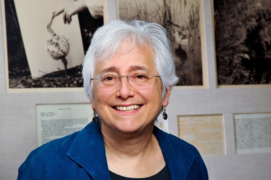 "'Wild' is a very powerful category now," says MIT Professor Harriet Ritvo, "as it has been for many centuries. The emotional or ethical response to this power, however, has recently altered. For most of history, to call something 'wild' was to express disapproval, but...as wildness has come to seem less threatening and more threatened, people have come to like it better."