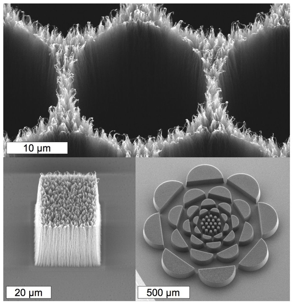 These scanning electron microscopy images show nanoporous stamps composed of pPFDA coated carbon nanotubes.
