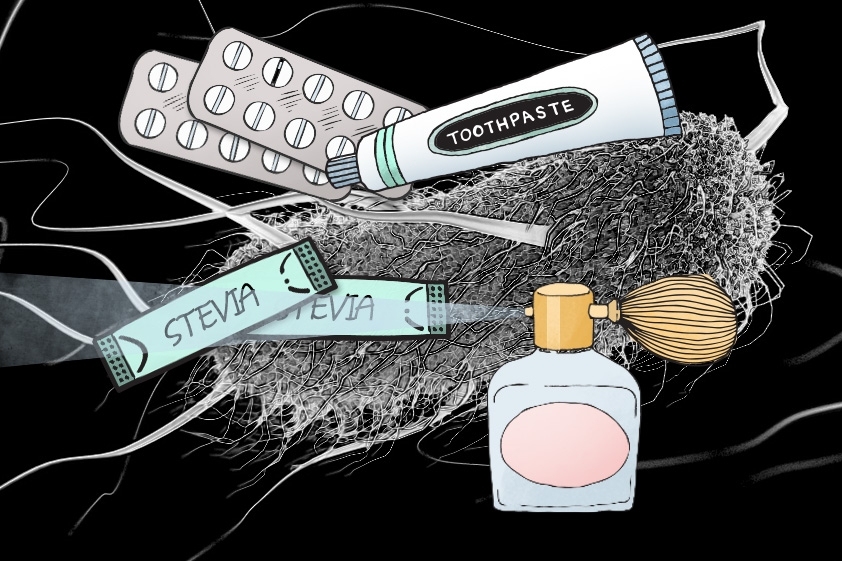 MIT spinout Manus Bio has created a low-cost process for engineering microbes with complex metabolic pathways borrowed from plants, which can produce an array of rare and expensive ingredients used to manufacture noncaloric beverages, perfumes, toothpastes, detergents, pesticides, and even therapeutics, among other products.