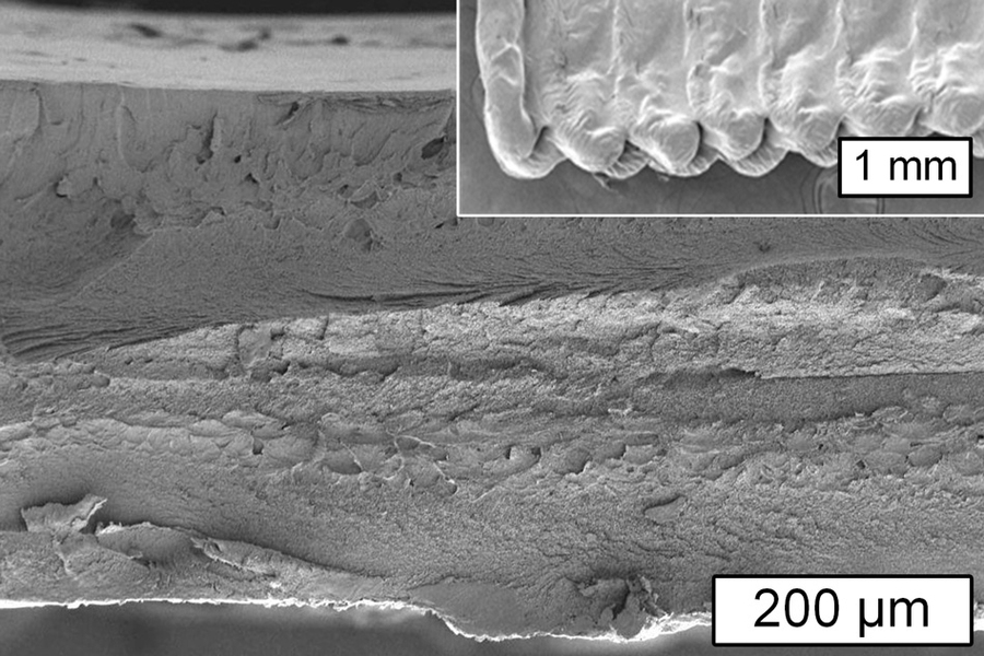 This image from a scanning electron microscope shows a cross section of an object printed using cellulose. The inset shows the surface of the object.