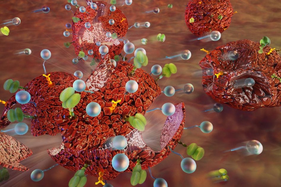 By tethering hundreds of tiny particles to the surfaces of tumor cells in the presence of a mechanical force, an MIT team made the cells much more vulnerable to attack by a drug that triggers cancer cells to commit suicide.