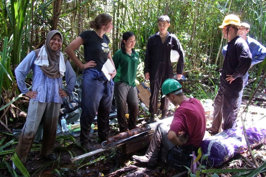 Researchers have found one of the last undisturbed tropical peat forests, in the nation of Brunei on the island of Borneo.