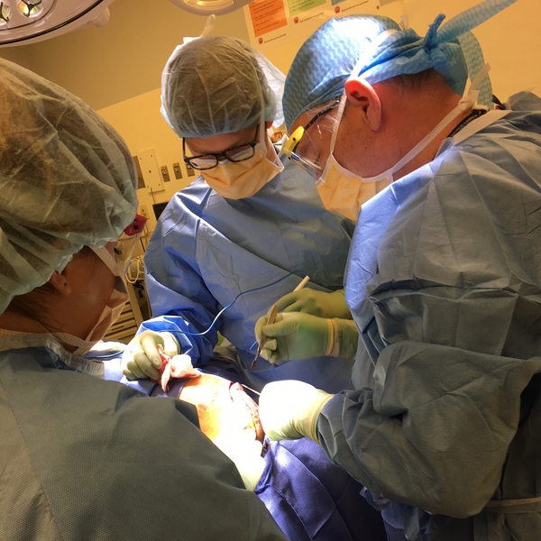 Dennis Orgill (right) performs surgery at Brigham and Women’s Hospital.
