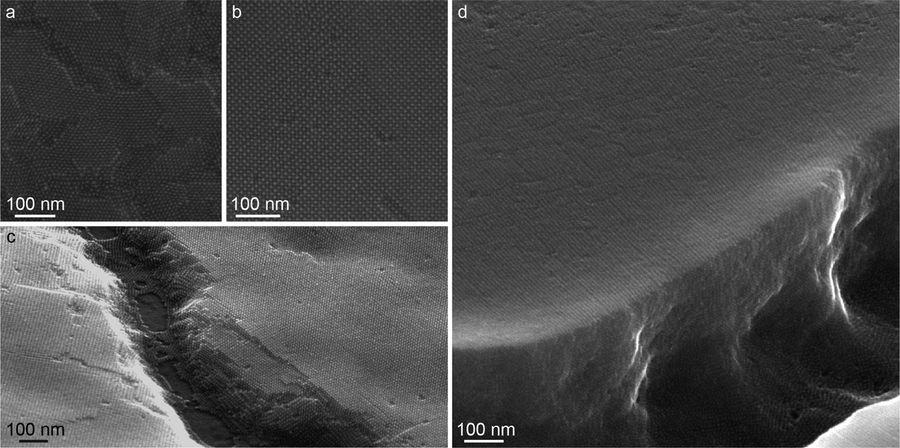 These images show scanning electron micrographs of the researchers' sample quantum dot films. The dark spots are the individual quantum dots, each about 5 nanometers in diameter. Images a and b show the consistent size and alignment of the quantum dots at the surface. The exposed edges in images c and d show depth and long-range ordering of the nanocrystals.