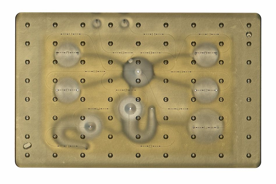 The new platform should allow researchers to measure the effects of experimental drugs on different parts of the body before testing them in humans.