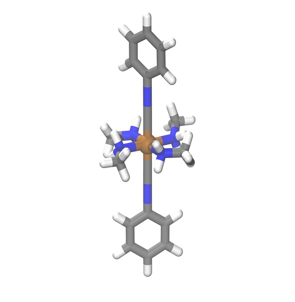 This graphic represents a sample transition metal complex. A transition metal complex consists of a central transition metal atom (orange) surrounded by an array of chemically bound organic molecules in structures known as ligands.