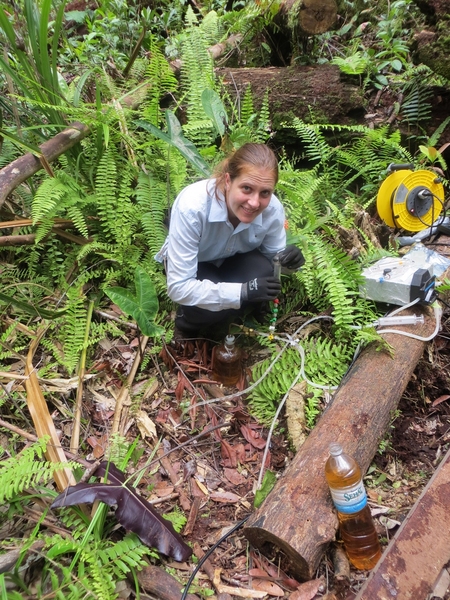 “Peatlands are really unique and carbon rich environments and wetland ecosystems,” Alison Hoyt says. In this photo, Hoyt is taking measurements in a tropical peat swamp forest.