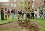 Friends of Michele Micheletti take part in a tree-planting ceremony honoring her memory.