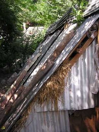 A livestock shelter in Kashmir. The community had used straw (a locally sourced material) as an infill between two corrugated galvanised iron sheets to make the shelter more comfortable for the livestock. <a onclick="MM_openBrWindow('itw-insul-1-enlarged.html','','width=509, height=583')">
<span onmouseover="this.className='cursorChange';">
<strong>Open image gallery</strong>
</span>
</a>
<no...
