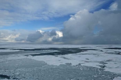 By 2050, sea ice may vanish during Arctic summers.