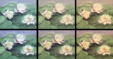The RePaint system reproduces paintings by combining two approaches called color-contoning and halftoning, as well as a deep learning model focused on determining how to stack 10 different inks to recreate the specific shades of color.