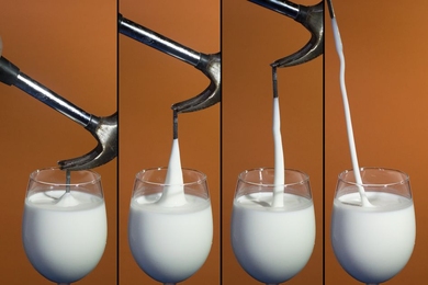 A new model predicts how cornstarch and water, a non-Newtonian fluid, can behave like a solid or liquid, depending on how fast it’s deformed. When swirled slowly in a glass, the mixture acts as a liquid. But when deformed quickly, it can behave as a rubbery solid, forming a glue-like string as (shown here in series) a hammer pulls a nail out of the mixture.