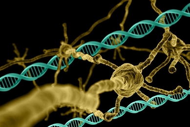 A genome-wide analysis has revealed genes that are essential for neuron survival, as well as genes that protect against the effects of Huntington’s disease.
