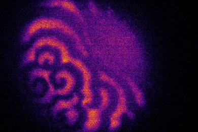 MIT researchers observe ripples across a newly fertilized egg that are similar to other systems, from ocean and atmospheric circulations to quantum fluids.