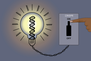Illustration of a hand reaching to flip a switch connected to a lightbulb with a filament made of DNA.
