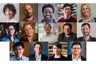 Grid of 14 portrait photos of new School of Engineering tenured faculty members