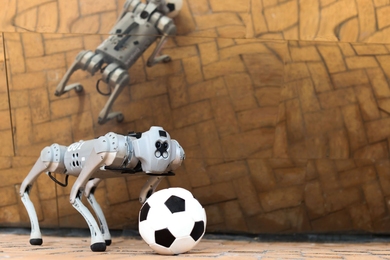 A four-legged, dog-like robot stands in front of a soccer ball against an amber background. Behind it, a mirror shows an overhead view of the robot.