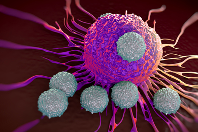 Pink illustration of grey T-cells attacking purple cancer cell