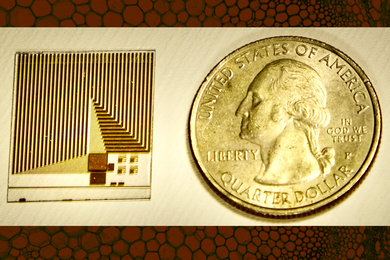 A photo depicts the square-shaped sensor next to a quarter, showing its small size. The sensor has square sections and lots of vertical lines, and in one section the lines form a triangular shape. On the top and bottom of the image, there are stripes showing cell bunches.