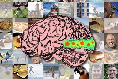 Collage of about 40 random thumbnail photos with one large illustration of a human brain overlaid in the center.