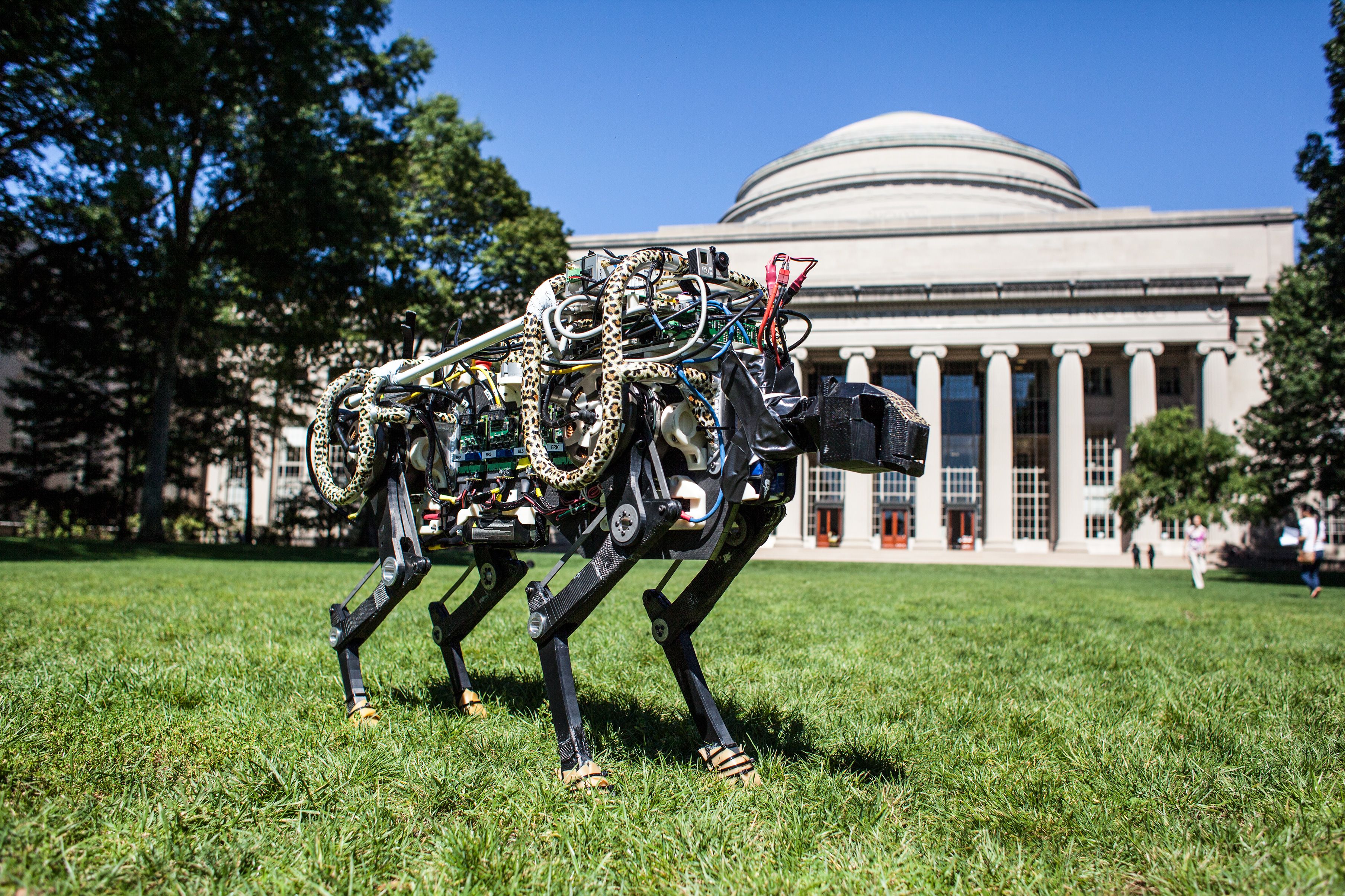 Bound for robotic glory, MIT News