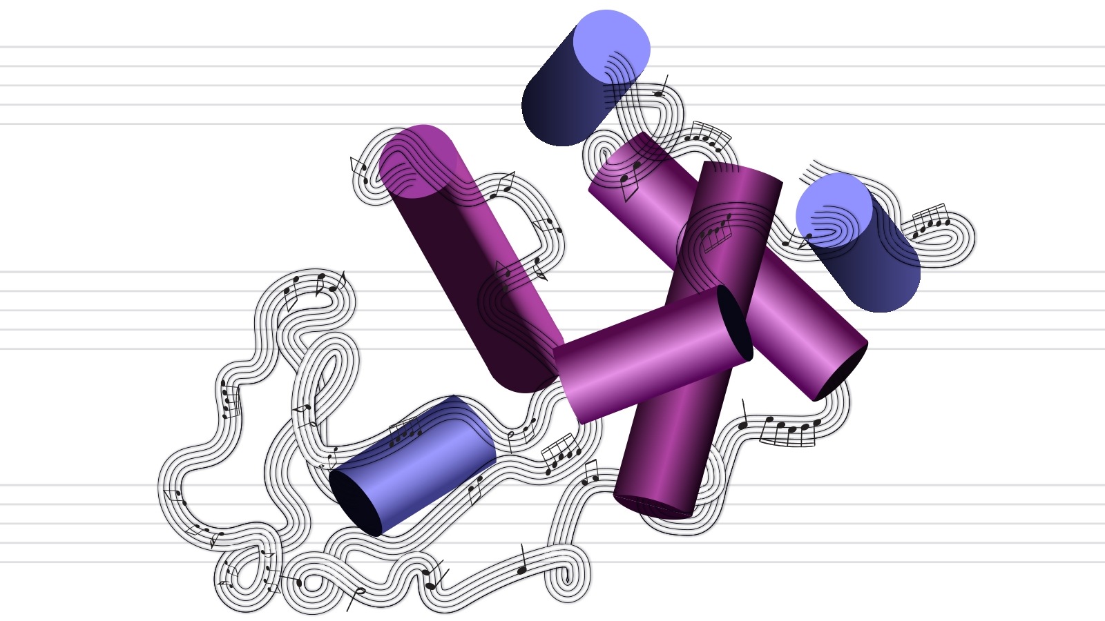 protein molecule