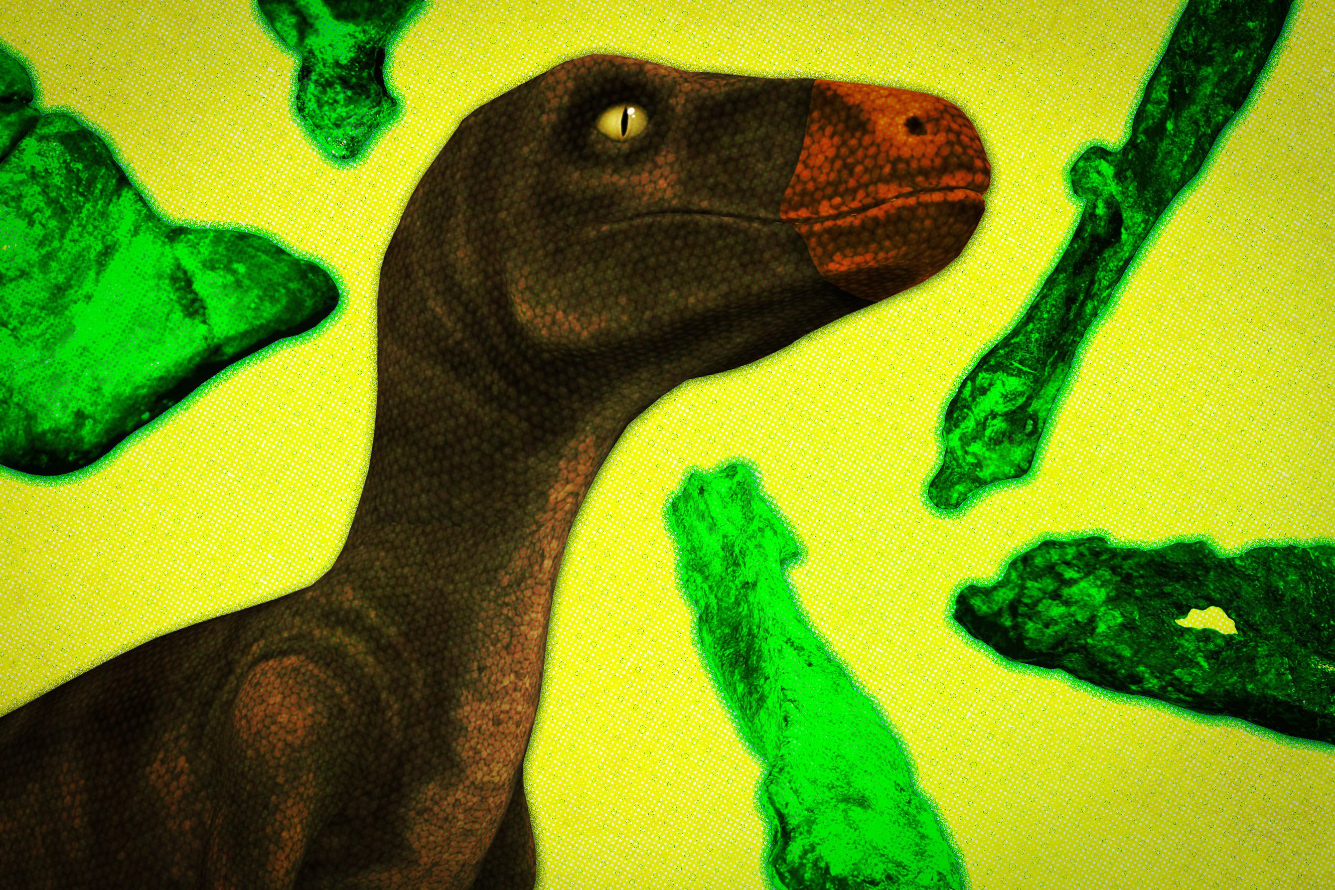 Study Sheds Light On The Evolution Of The Earliest Dinosaurs Mit News Massachusetts Institute Of Technology