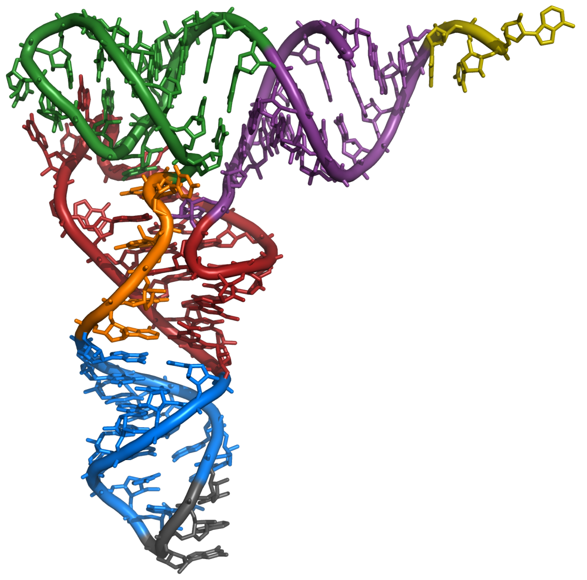 Рнк бактерии. Молекула РНК. Цепь РНК на прозрачном фоне. РНК на белом фоне. РНК для фотошопа.
