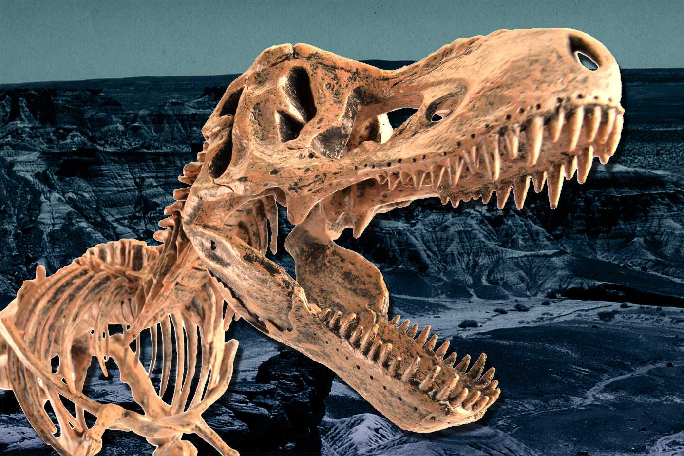 Rise of the dinosaurs | MIT News | Massachusetts Institute of Technology