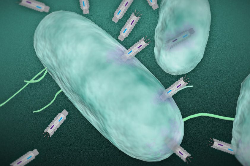 researchers-develop-a-new-means-of-killing-harmful-bacteria-mit-news