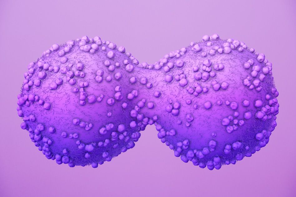 Cancer Cells vs. Normal Cells: How Are They Different?