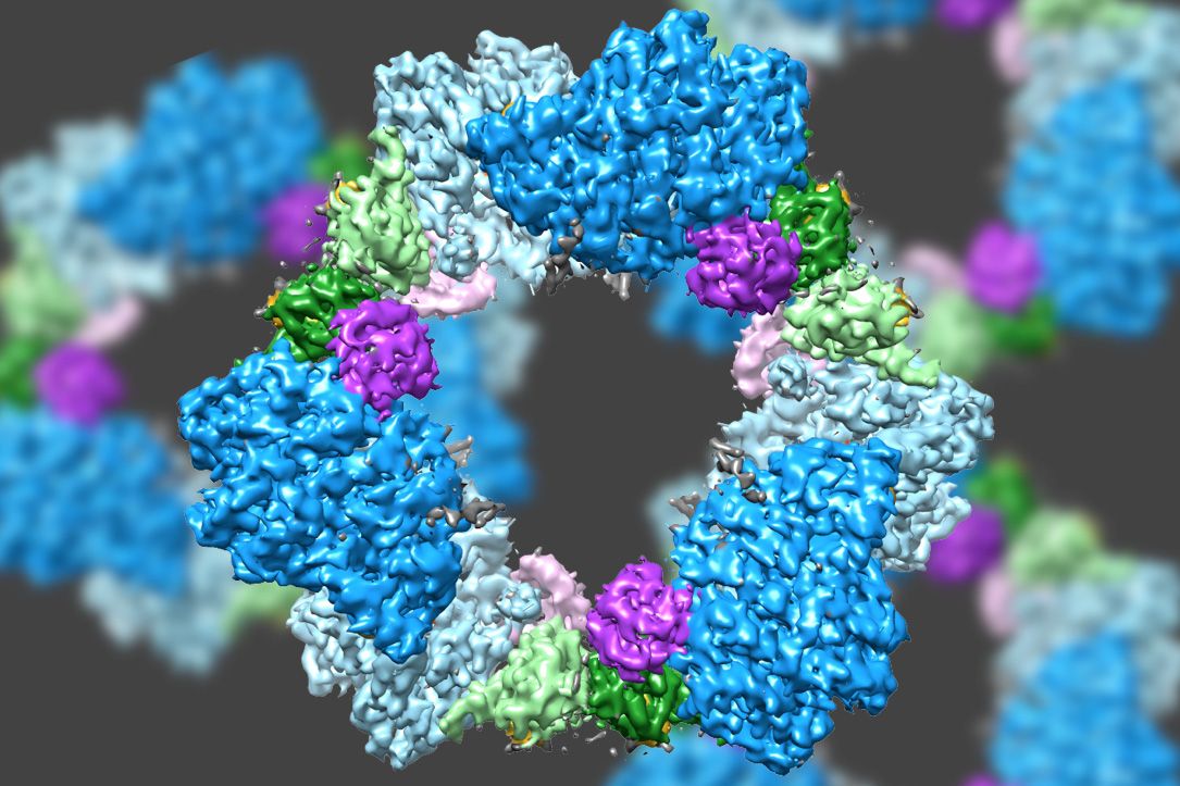 enzymes structure