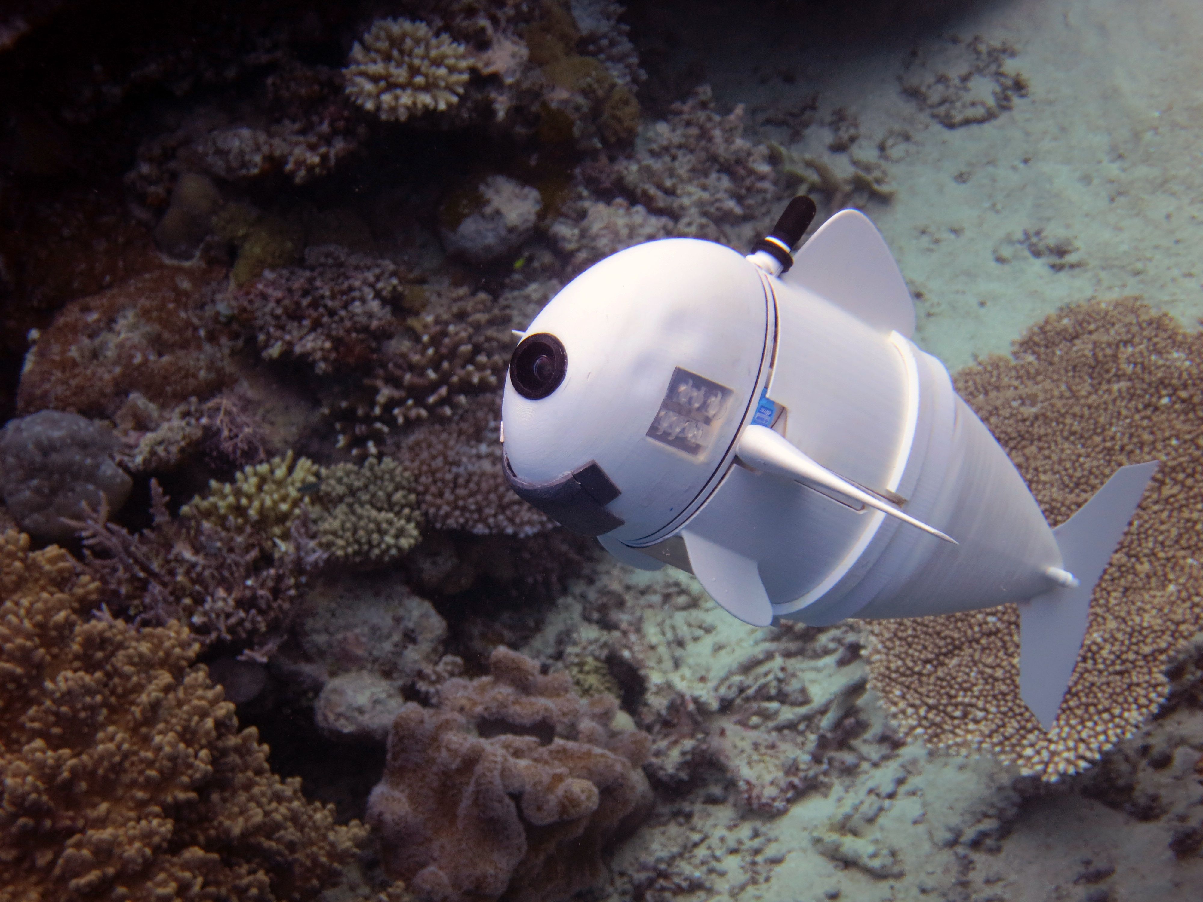 This Robotic Fish Is Powered by a 'Blood' Battery