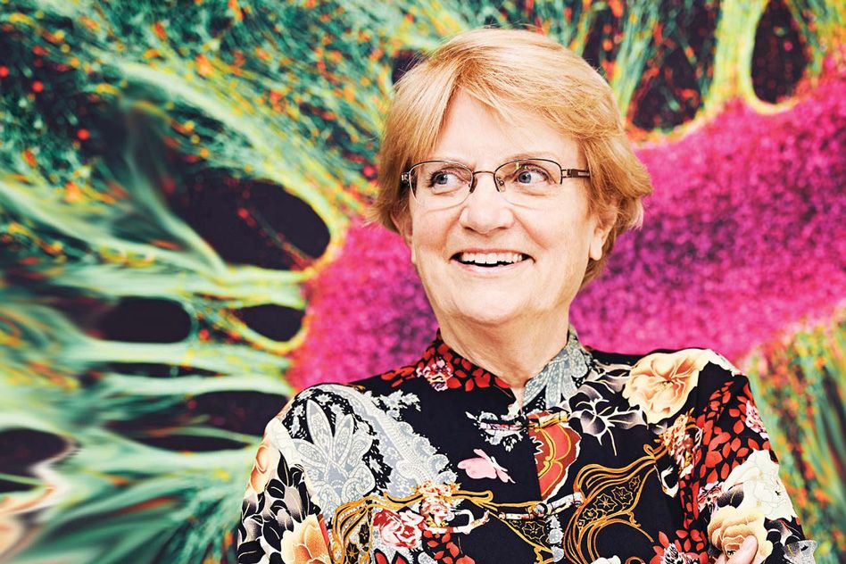 3Q: Nancy Hopkins on the impact and potential of cancer prevention, MIT  News