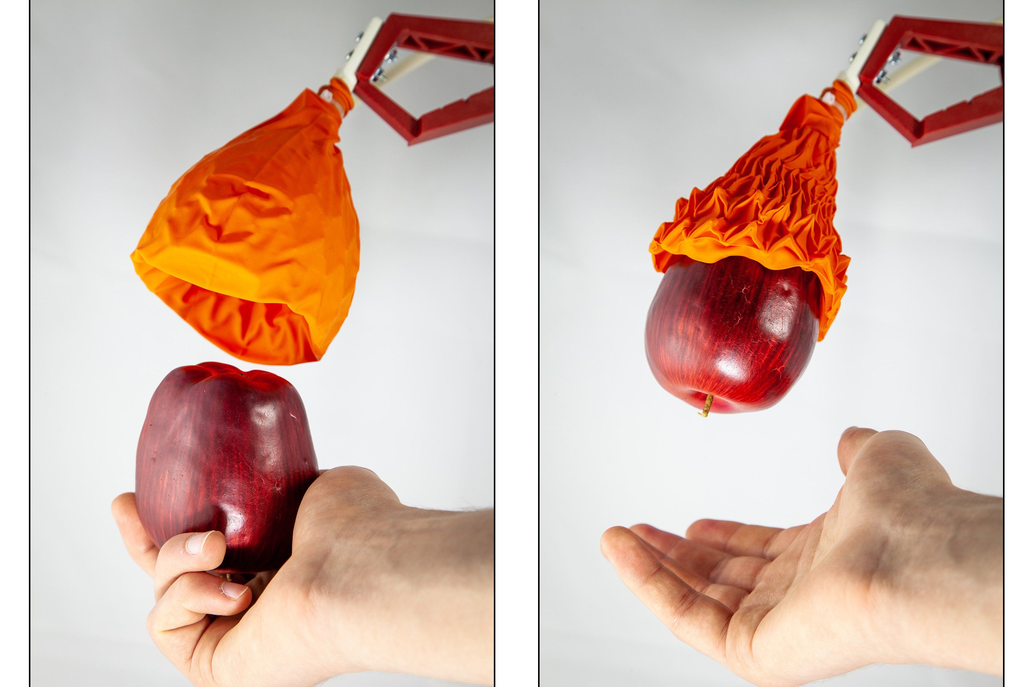 This robotic gripper is incredibly gentle and impressively strong